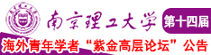 操鸡巴的视频南京理工大学第十四届海外青年学者紫金论坛诚邀海内外英才！